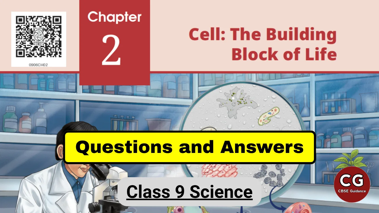 cell the building block of life class 9 questions and answers
