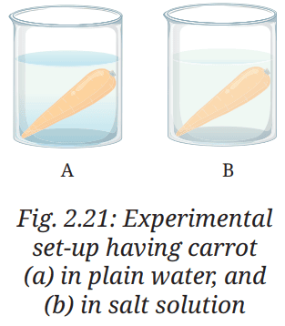 cell the building block of life questions answers class 9