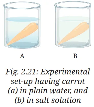 cell the building block of life questions answers class 9