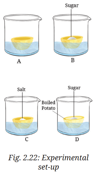 class 9 science exploration questions and answers