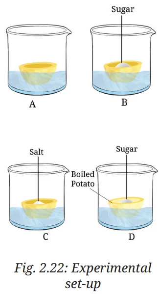 class 9 science exploration questions and answers